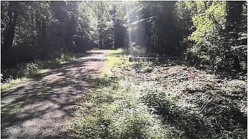 Pussy Slapping - Try Not To Cum