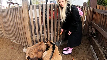 Two guys shared the sexy Melody Marks' pussy in an intense threesome