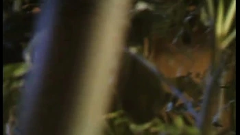 Judy Sucks and Fucks Three Guys Outdoors - Private Porn Sex Videos