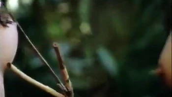 Even In The Desert Under The Hot Sun With Hot Women, Theres Fucking With Ava Vincent, Teanna Kai And Allysin Chaynes