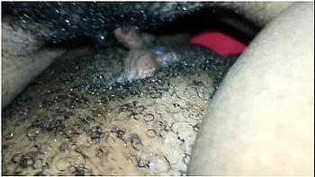 Ebony Lesbians Tribbing