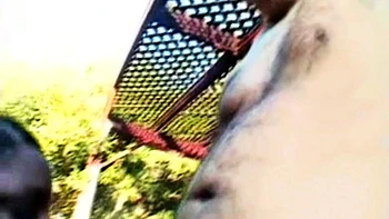 Hot Big Black Latina booty Black and Ebony