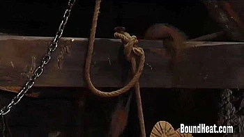 Watch Charming Amateurs