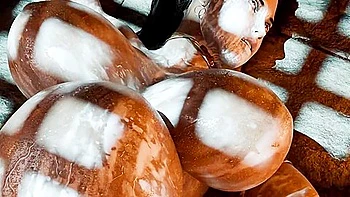 Car Toon In Tales Of Resident Evil Remaster Xxx )