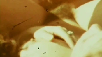 Rene Bond And John Holmes - Hot Threesome On The Beach From The American Vintage Porn Of The Seventies