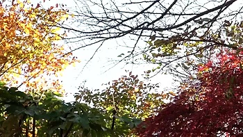 001-wguuhy-ouhsgy-poo-apd