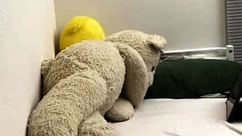 Brunette MILF Solo Masturbation with Toys and Ass Close-Up