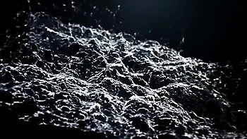 Freely cutie's tattooed women trailer