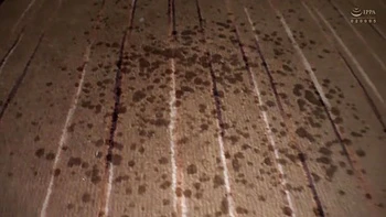 Chica asiática delgada da besos profundos