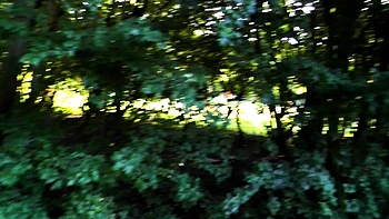 Брюнетка-тинейджер делает рискованную POV мастурбацию на улице