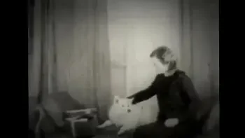 Dark Lantern Entertainment presents 'Beauty And The Beast'